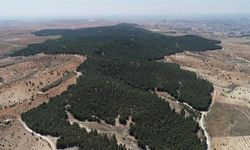 Şanlıurfa Gölpınar Tabiat Parkına Girişler Yasaklandı