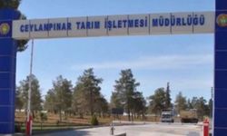CEYLANPINAR TİM 10000 BAŞLIK AÇIK TİP SIĞIRCILIK TESİSİNDE KAPASİTE ARTIRIMI TARIM İŞLETMELERİ GENEL MÜDÜRLÜĞÜ(TIGEM) MERKEZ