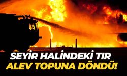 Şanlıurfa’da Göz Gözü Görmedi! Dumanlar Arasında Tır Yok Oldu