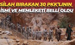 Silah Bırakan 30 PKK’lının İsmi ve Memleketi Belli Oldu