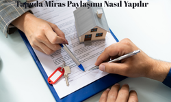 Tapuda Miras Paylaşımı Nasıl Yapılır