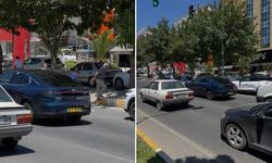 İlk Kez Şanlıurfa’da Kameralara Takıldı! Büyük İlgi Gördü