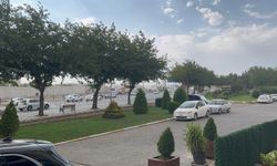 Kavurucu Sıcakların Etkisindeki Şanlıurfa'da Yağmur Sevinci