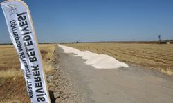 Siverek Belediyesi Kırsal Yol Çalışmalarını Sürdürüyor