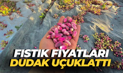 Dolar Kaç TL Oldu, Euro Ne Kadar? (8 Ağustos Güncel Döviz Kurları)