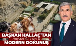 Başkan Hallaç’tan Hayvan Barınağına Modern Dokunuş