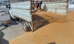 Şanlıurfa’da Sert Buğday Kaç Liradan Satıldı?