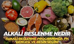 Alkali Beslenme Nedir:Alkali Beslenme Programında pH Dengesi ve Besin Seçimi