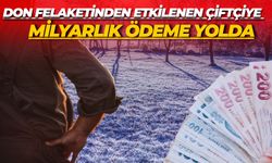 Bakan Yumaklı Duyurdu: Don Felaketinden Etkilenen Çiftçiye Milyarlık Ödeme Yolda