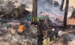 Bozova- Adıyaman Şelalesi’nde Yangın!