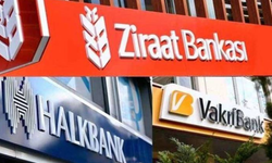 Emekliye En Yüksek Promosyonu Hangi Kamu Bankası Veriyor?