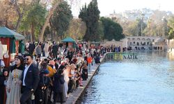 Şanlıurfa Milletvekilinin Paylaşımı Vatandaşların Tepkisine Neden Oldu!