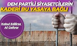 DEM Partili Siyasetçilerin Kaderi Bu Yasaya Bağlı: Kabul Edilirse Af Geliyor