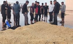 Şanlıurfa Bozova’da Sel Felaketi: Fıstık İşletmeleri Sular Altında Kaldı