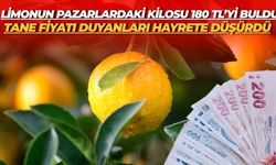 Limonun Pazarlardaki Kilosu 180 TL’yi Buldu: Tane Fiyatı Duyanları Hayrete Düşürdü
