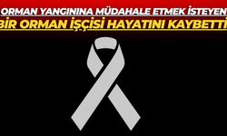 Orman Yangınına Müdahale Etmek İsteyen Bir Orman İşçisi Hayatını Kaybetti
