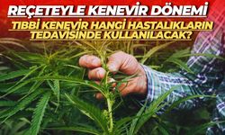 Reçeteyle Kenevir Dönemi: Tıbbi Kenevir Hangi Hastalıkların Tedavisinde Kullanılacak?