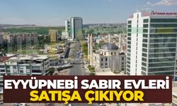 Şanlıurfa Büyükşehir Belediyesi’nden Viranşehir Eyyüpnebi Sabır Evleri Satış İhalesi Duyurusu
