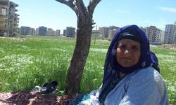 Şanlıurfa’da Belediye Başkan Yardımcısı İsmail Tutal’ın Acı Günü