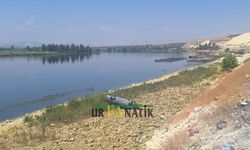 Fırat Nehri’ne Yuvarlanan Otomobilde Mucize Kurtuluş!