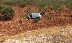 Halfeti’de Trafik Kazası: Fıstık Ağaçları Zarar Gördü!