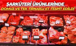 Şarküteri Ürünlerinde Domuz ve Tek Tırnaklı Et Tespit Edildi