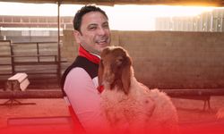 Hayvan Hastalıklarına Karşı Büyük Mücadele! Haliliye Kaymakamı Sahada