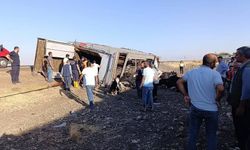 Siverek-Çermik Yolunda Hayvan Taşıyan Araç Devrildi: Hayvanlar Telef Oldu