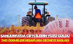 Şanlıurfa'da Çiftçilerin Yüzü Güldü: TMO Ödemeleri Hesaplara Geçmeye Başladı