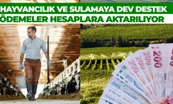 Şanlıurfa’da Hayvancılık ve Sulamaya Dev Destek: Ödemeler Hesaplara Aktarılıyor