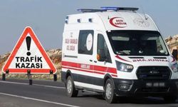 Siverek-Diyarbakır Karayolunda Trafik Kazası: Kamyonet Kontrolden Çıktı
