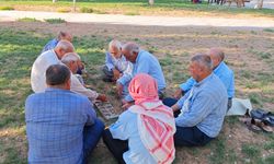 Bir Oyundan Çok Daha Fazlası: Şanlıurfa’da Mangala Tutkusu Asırlardır Devam ediyor