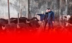 Üreticilere Rekor Destek: 18 İlde Uygulanmaya Devam Ediyor!