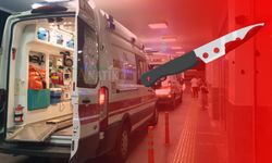 Şanlıurfa'da Gece Yarısı Kan Döküldü: Bir Kişi Bıçaklanarak Öldürüldü