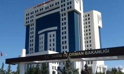 Gıda Ambalajlarında Yanıltıcı Görsellere Yasak Geldi