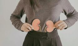 Böbrek Yetmezliği Nedir? Belirtileri, Nedenleri ve Tedavi Yöntemleri Hakkında Her Şey