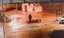 Şanlıurfa’da Koyun Hırsızlığı: Güvenlik Kameralarına Saniye Saniye Yansıdı