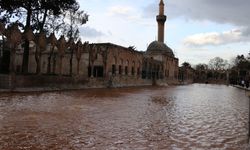 Şanlıurfa’da Günler Süren Yağış Sonrası Balıklıgöl Çamura Büründü