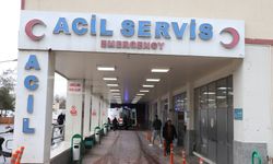 Karaköprü'de Otomobil Aydınlatma Direğine Çarptı: 1 Yaralı