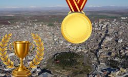 Siverekli Öğrenci ODTÜ Matematik Olimpiyatları'nda Tam Puanla Dünya Şampiyonası'na Seçildi