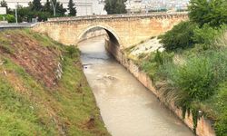 Şanlıurfa’nın Karakoyun Deresi İçin Ankara’da Kritik Görüşme: Islah ve Temizlik Çalışmaları Masaya Yatırıldı