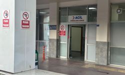 Şanlıurfa’da Ani Fren Yapan Halk Otobüsündeki Yolcu Yaralandı