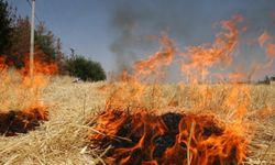 Şanlıurfa'da Anız ve Orman Yangınlarına Karşı 8 Maddelik Uyarı