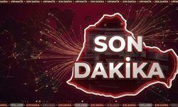 Şanlıurfa Valiliği Silah ve Esrar Operasyonunu Duyurdu