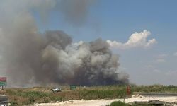 Kabus Yeniden Başladı! Şanlıurfa'da Tehlike Seyahat