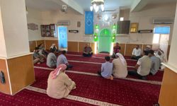 Şanlıurfalı Çiftçiler Dikkat! Bu Hata Büyük Kayıplara Yol Açabilir
