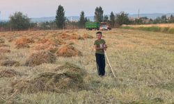 Şanlıurfa’da “Kırmızı Altın” Hasadı Başladı! Tarlalarda Bereket Mesaisi
