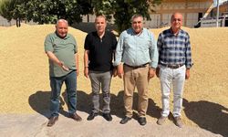 Şanlıurfa’da Hububat Krizi! Çiftçinin Gözü Ankara’da