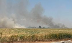 Şanlıurfa’da Çarpıcı Uyarı: Birkaç Saatlik Kolaylık Yılları Yok Ediyor