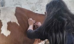 Şanlıurfa’da Zoonoz Hastalıklara Karşı Seferberlik
